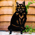 Cat Maine Coon Statue Garden Home Ornament Owner Lover Gifts
